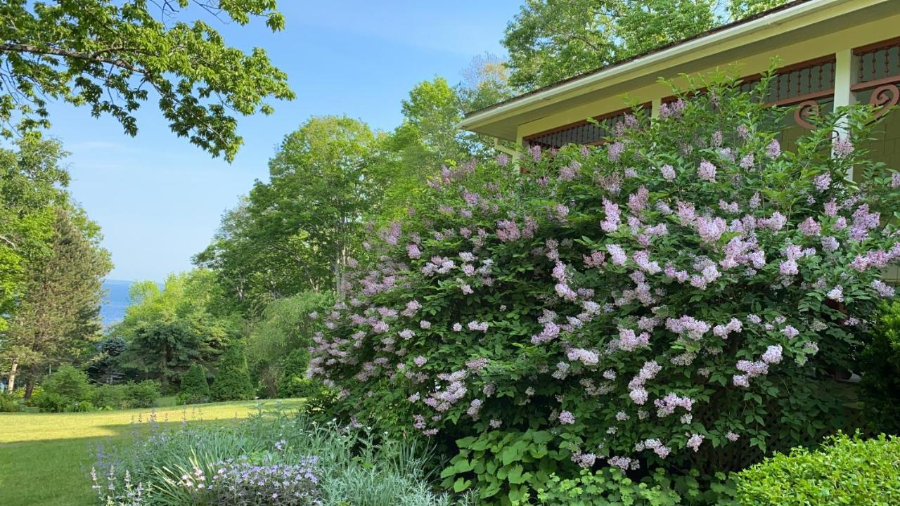 Bed and Breakfast Victorian By The Sea Lincolnville Exterior foto